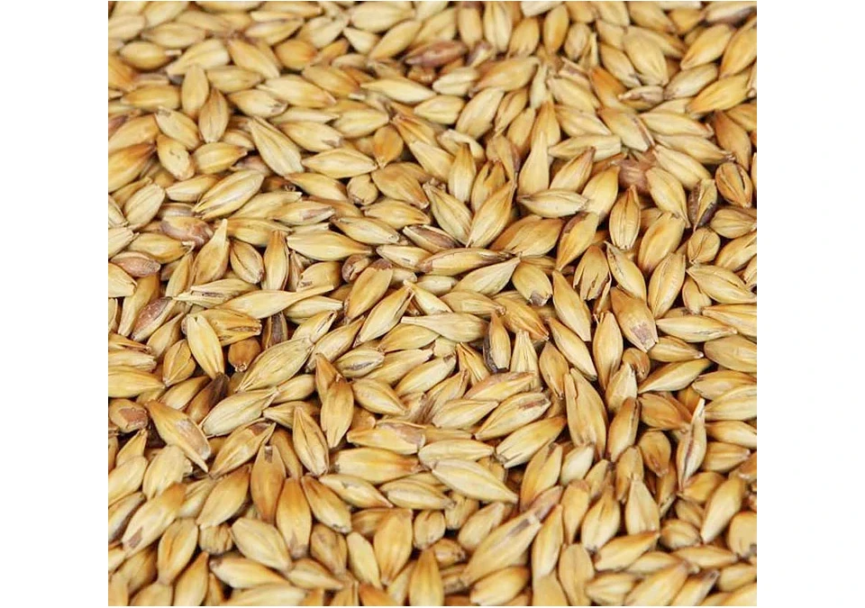 Carahell Malt 10kg Whole